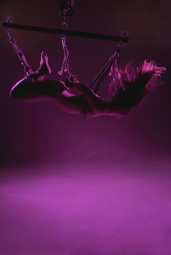 Fay purple 4